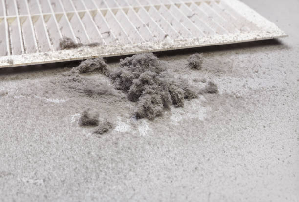 Best Duct Cleaning for Homes  in Natchitoches, LA